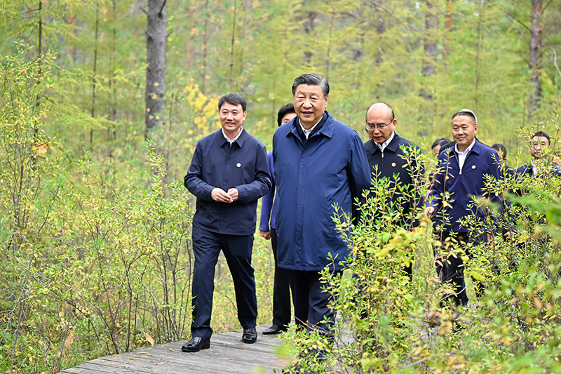 9月6日至8日，中共中央總書記、國家主席、中央軍委主席習(xí)近平在黑龍江考察。這是6日下午，習(xí)近平在大興安嶺地區(qū)漠河市漠河林場自然林區(qū)考察